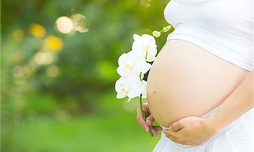 孕妇烤瓷牙掉了可以粘吗有影响吗-【孕妇烤瓷牙掉了真牙腐烂】孕妇烤瓷牙掉了粘上去要钱吗 - 孕妇 烤瓷牙 掉网